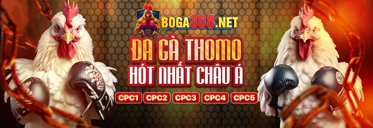 Sân đấu đá gà trực tuyến tại jb77 code