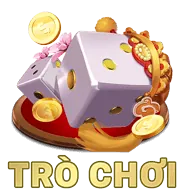 Biểu đồ phân loại cookie được sử dụng bởi jb77 code